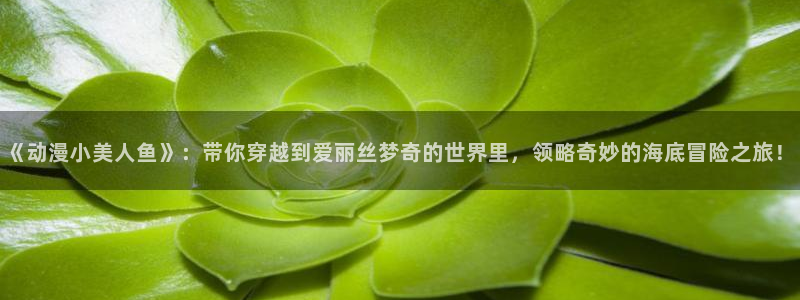 omofun官方网站进入：《动漫小美人鱼》：带你穿越到爱丽丝梦奇的世界里，领略奇妙的海底冒险之旅！