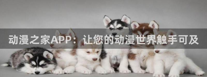 omofun动漫官网最新版