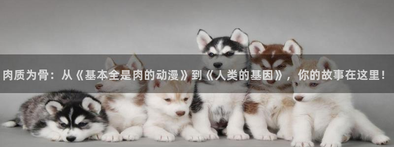 omofun官方版入口：肉质为骨：从《基本全是肉的动漫》到《人类的基因》，你的故事在这里！