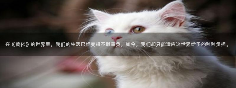 omofun缓存：在《黄化》的世界里，我们的生活已经变得不堪重负，如今，我们却只能适应这世界给予的种种负担。