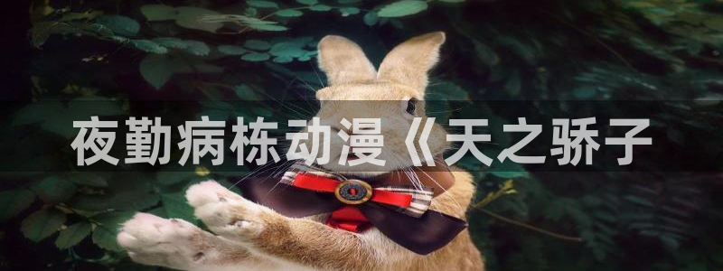 omofun动漫视频：夜勤病栋动漫《天之骄子