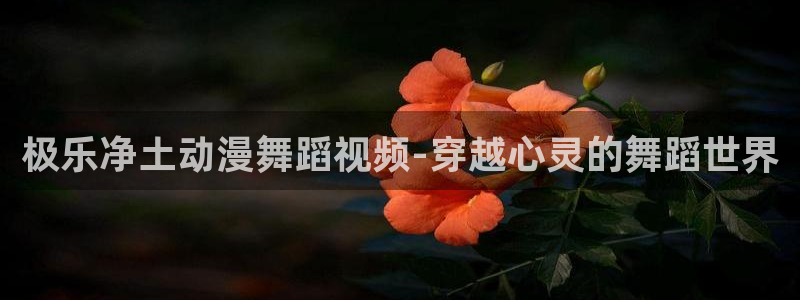 omofun纯净版：极乐净土动漫舞蹈视频-穿越心灵的舞蹈世界