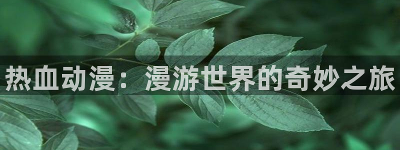 omofun动漫app下载最新版：热血动漫：漫游世界的奇妙之旅