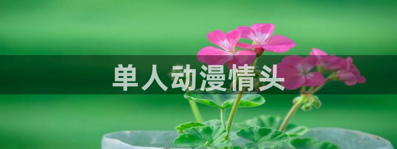 omofun网页：单人动漫情头