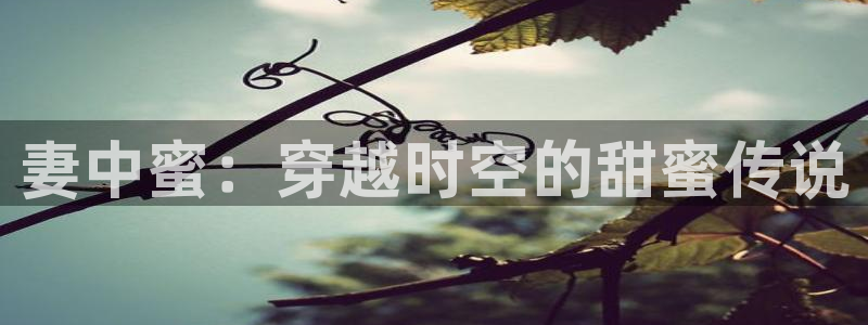 omofun动漫王国：妻中蜜：穿越时空的甜蜜传说