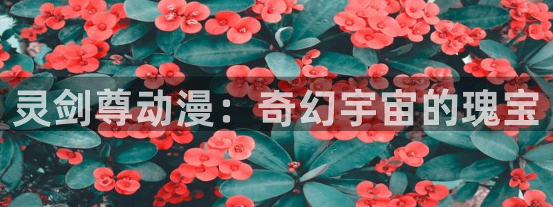 omofun正版官方链接：灵剑尊动漫：奇幻宇宙的瑰宝