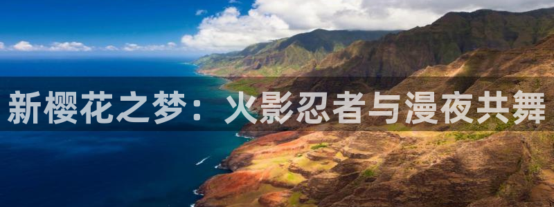 omofun官方版下载：新樱花之梦：火影忍者与漫夜共舞