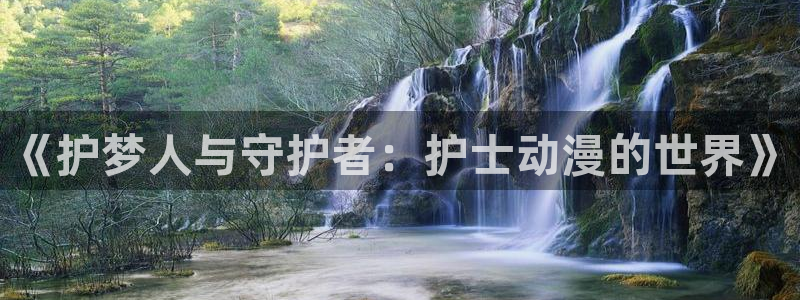 苹果omofun网页版入口：《护梦人与守护者：护士动漫的世界》
