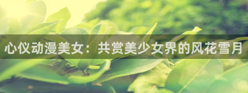 omofun轻量版