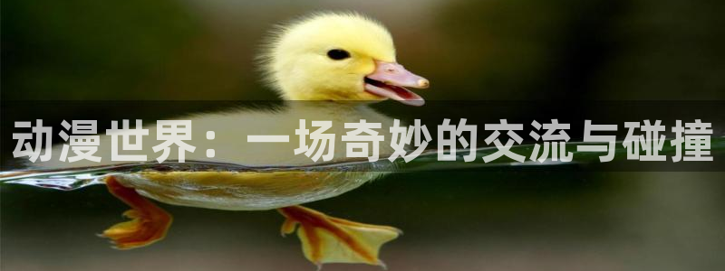 www.omofun.